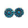 Justin Wilson, Earrings, Sleeping Beauty Turquoise, Navajo, 1"