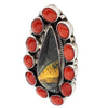 Geraldine James, Earrings, Cluster, Bumble Bee Jasper, Coral, Navajo Made, 2"