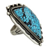 Roger Lewis, Ring, Spider Web Turquoise, Sterling Silver, Navajo Handmade, 10