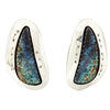 Lyanne Goodluck, Shadowbox Earrings, Ocean Jasper, Navajo Handmade, 1 5/8"