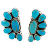 Geraldine James, Cluster Earring, Sonoran Rose Turquoise, Navajo Made, 1 5/8"