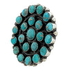 Devin Brown, Cluster Ring, Kingman Turquoise, Navajo Handmade, Adjustable