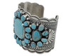 Donovan Cadman, Bracelet, Easter Blue Turquoise, Wide, Stamping, Navajo Made, 7"
