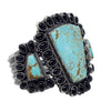 Anthony Skeets, Bracelet, Cluster, Turquoise, Onyx, Navajo Handmade, 6 5/8"