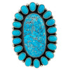 Darrell Cadman, Ring, Cluster, Kingman Turquoise, Stamping, Navajo Handmade, 8